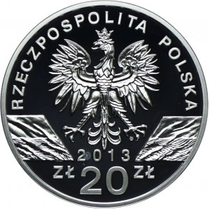 20 zl 2013, Zubr
