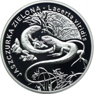 20 złotych 2009 Jaszczurka Zielona