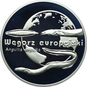 20 Gold 2003, European Eel