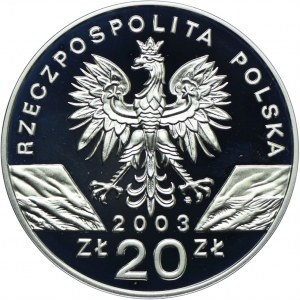 20 Gold 2003, European Eel