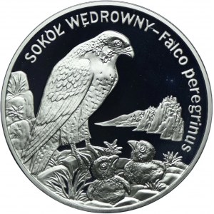 III RP, 20 złotych 2008 Sokół Wędrowny