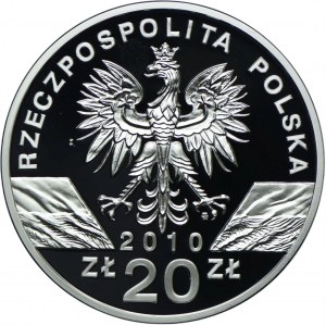 20 zl 2010, Horseshoe Bat