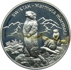 20 Gold 2006, Swistak