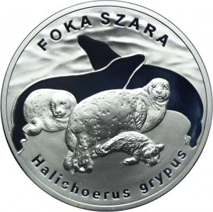 20 Gold 2007, Grey Seal