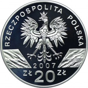 20 Gold 2007, Grey Seal