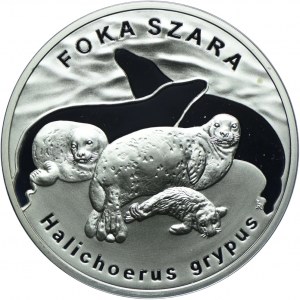 20 Gold 2007, Grey Seal