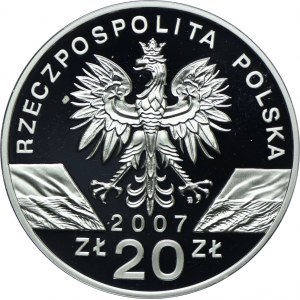 III RP, 20 złotych 2007 Foka Szara