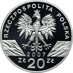 20 Gold 2007, Grey Seal