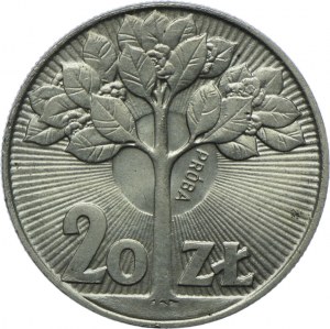 20 Gold 1973, Tree, SAMPLE