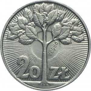 20 Gold 1973, Tree, SAMPLE