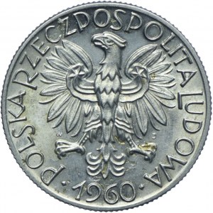 5 Gold 1960, Fisherman