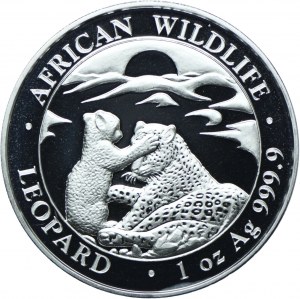 Somalia, 100 shillings 2019 Animals of Africa - Leopard