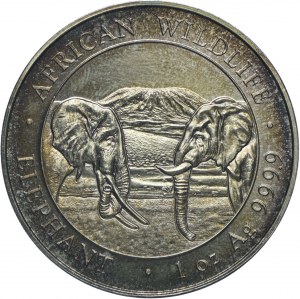 Somalia, 100 shillings 2020 Animals of Africa - Elephants