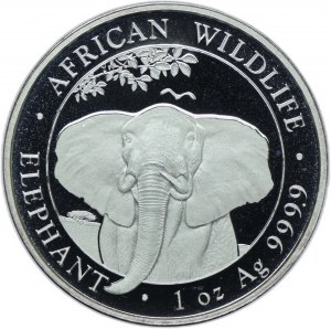 Somalia, 100 shillings 2021, Animals of Africa - Elephant