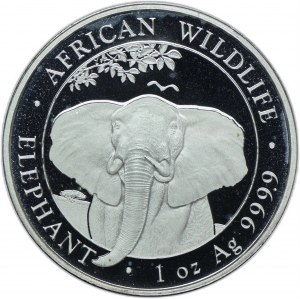 Somalia, 100 shillings 2021, Animals of Africa - Elephant