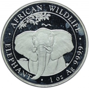Somalia, 100 shillings 2021, Animals of Africa - Elephant
