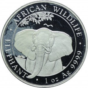 Somalia, 100 shillings 2021, Animals of Africa - Elephant