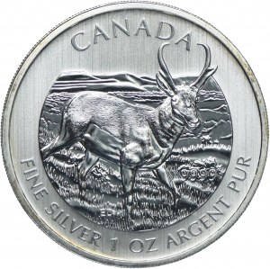 Canada, Elizabeth II, $5 2013