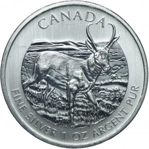 Canada, Elizabeth II, $5 2013 Canada's Wildlife - American Forkbeard