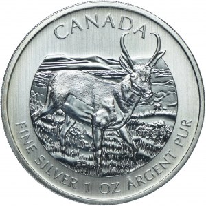 Canada, Elizabeth II, $5 2013 Canada's Wildlife - American Forkbeard