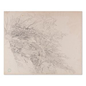 BEDŘICH HAVRÁNEK (CZECH / BOHEMIAN 1821 - 1899) - Study of trees in the landscape