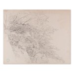 BEDŘICH HAVRÁNEK (CZECH / BOHEMIAN 1821 - 1899) - Study of trees in the landscape