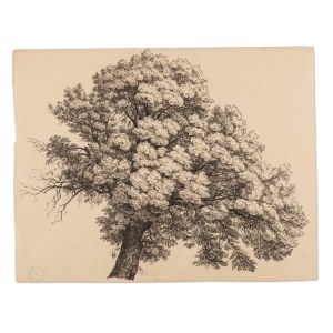 BEDŘICH HAVRÁNEK (CZECH / BOHEMIAN 1821 - 1899) - Tree study