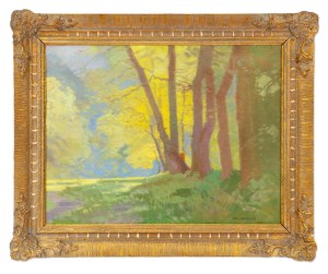 ROMAN HAVELKA (CZECH / BOHEMIAN 1877 - 1950) - Sunny landscape