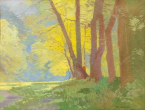 ROMAN HAVELKA (CZECH / BOHEMIAN 1877 - 1950) - Sunny landscape