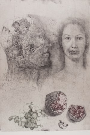 JIŘÍ ANDERLE (CZECH / BOHEMIAN 1936*) - People as Fruits (Horaz Cycle)