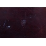 JAPANESE DECORATIVE TRAY | KYOTO, JAPAN (JAPAN / JAPANESE MEIJI PERIOD (1868-1912))