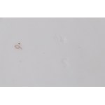 THREE PORCELAIN PLATES | SLAVKOV (SCHLAGGENWALD) (CZECH / BOHEMIAN 19TH CENTURY)