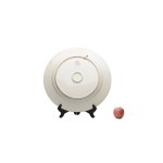 PLATE WITH FLORAL DECOR | DALLWITZ (CZECH / BOHEMIAN)