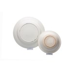 SET OF DISHES | TYNEC NAD SAZAVOU (TEINITZ) (GERMANY / GERMAN EARLY 19TH CENTURY)