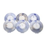 6 SHALLOW PLATES | OLD ROLE (CZECH / BOHEMIAN 19TH CENTURY)