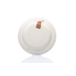 PLATE WITH DECORATIVE RIM | WEDGWOOD, ENGLAND (UNITED KINGDOM / BRITISH 19TH CENTURY)