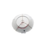 DECORATIVE PLATE WITH FLORAL GILDING | WALLENDORF (GERMANY / GERMAN 20TH CENTURY)