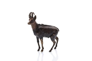 FRANZ XAVER BERGMANN | CHAMOIS (AUSTRIA / AUSTRIAN)