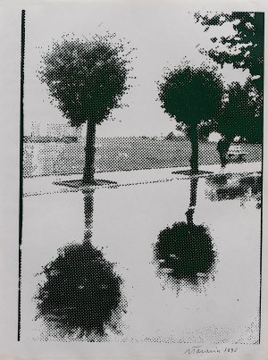 Jan Tarasin. Po deszczu, 1990