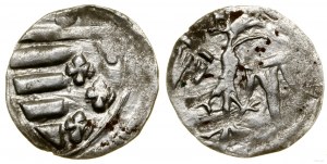 Poland, denarius, Cracow