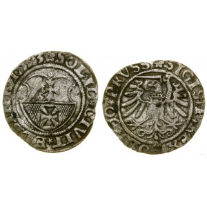 Poland, sheląg, 1533, Elbląg