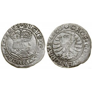 Poland, penny, 1530, Torun