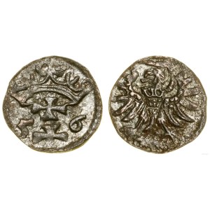 Pologne, denier, 1556, Gdansk
