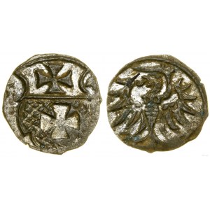 Poland, denarius, 1554, Elbląg