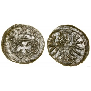 Poland, denarius, 1557, Elbląg
