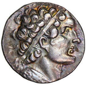 Grecja, Egipt, Królestwo Ptolemeuszy, Ptolemeusz VI Philometor, 2. panowanie samodzielne, tetradrachma, 151/150 przed Chr., men. Kition