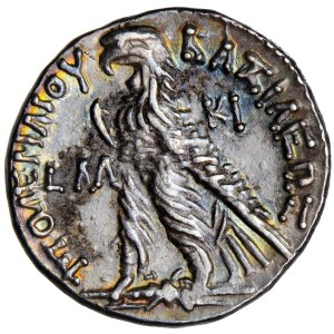 Grecja, Egipt, Królestwo Ptolemeuszy, Ptolemeusz VI Philometor, 2. panowanie samodzielne, tetradrachma, 151/150 przed Chr., men. Kition