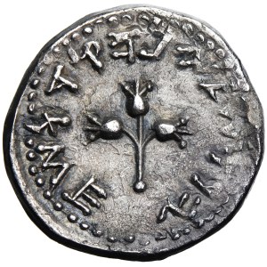 Judée, Guerre juive (66-70/4), shekel daté de l'année 2 = 67/68 après J.-C., frappe de Jérusalem
