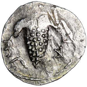 Judea, Bar Kokhba Revolt (132–135), zuz (drachma), year 3 = 134/135, minted in Jerusalem.