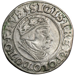 Polska, Zygmunt Stary, Gdańsk, grosz, 1539, men. Gdańsk